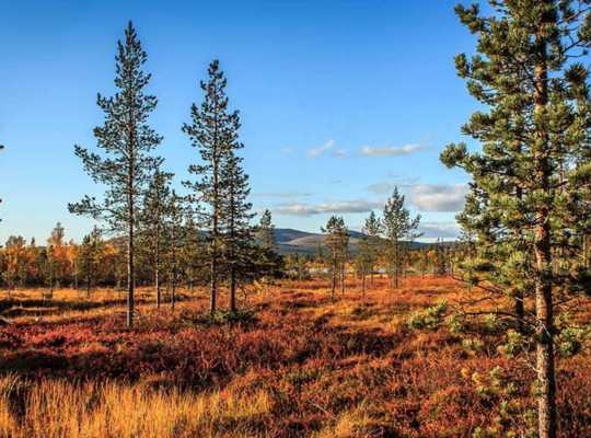 Finland Adventures - Urho Kekkonen National Park