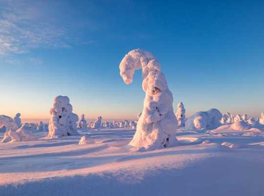 Finland Adventures - Riisitunturi National Park