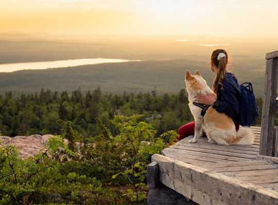 Finland Adventures -Salla Wilderness Park