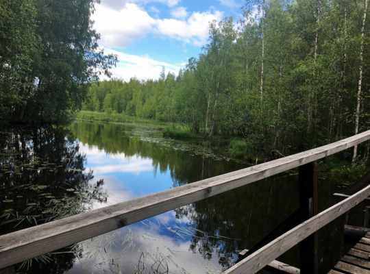 Lake Vallonjarvi - Guided nature path