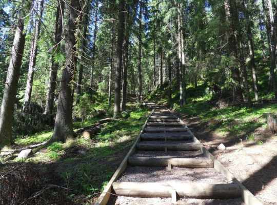 Niivermaki Nature