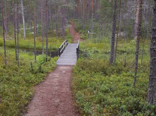 Patvinsuon Kansallispuisto
